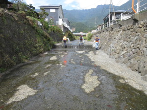 第10回目の地域環境保全活動が行われました。＜社会貢献活動委員会＞