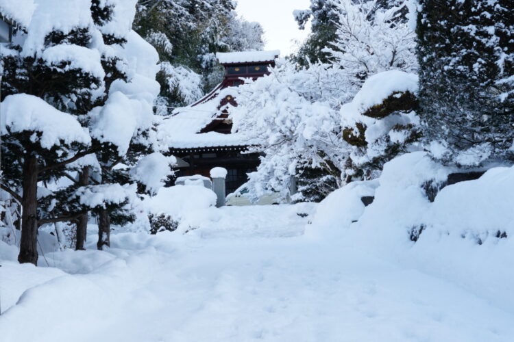 甘露山宝養寺さんに行ってきました。