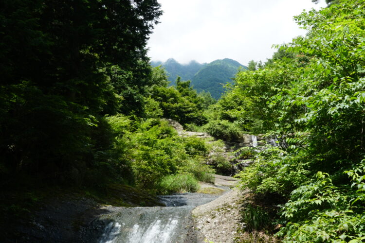 今回はお休み