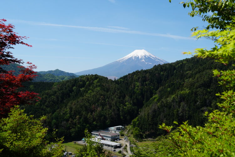 約束の１枚