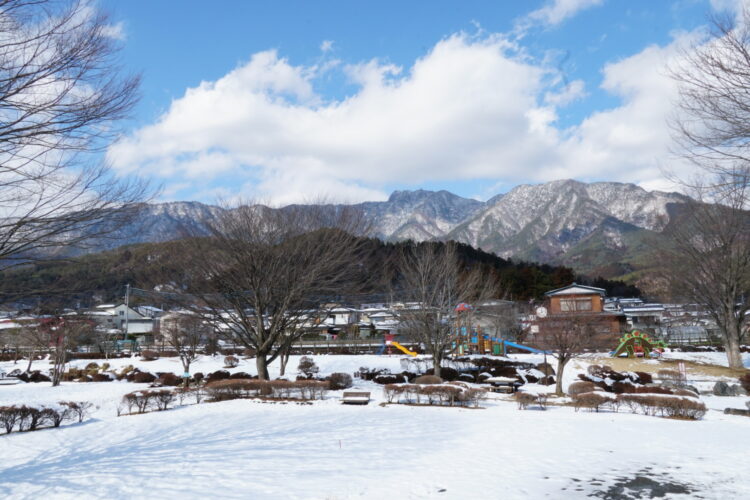 もう雪は積もらずに春が来ると思っていたのに…