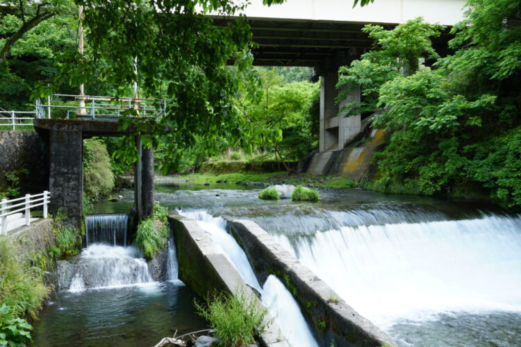 ちょっと気になって穴口堰に行ってきました　